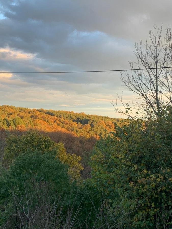 Hébergement de vacances Burgblick In *